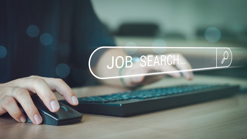 job search